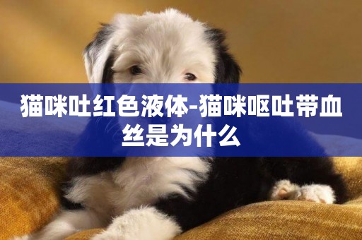 貓咪吐紅色液體-貓咪嘔吐帶血絲是為什么