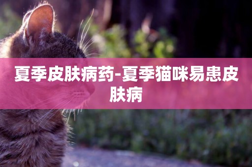 夏季皮膚病藥-夏季貓咪易患皮膚病