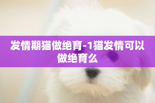發情期貓做絕育-1貓發情可以做絕育么