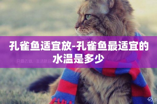 孔雀魚適宜放-孔雀魚最適宜的水溫是多少
