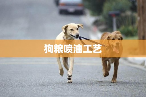 狗糧噴油工藝