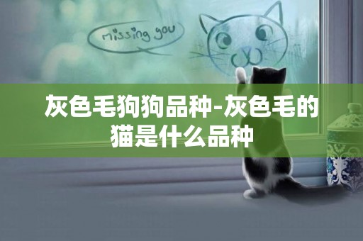 灰色毛狗狗品種-灰色毛的貓是什么品種