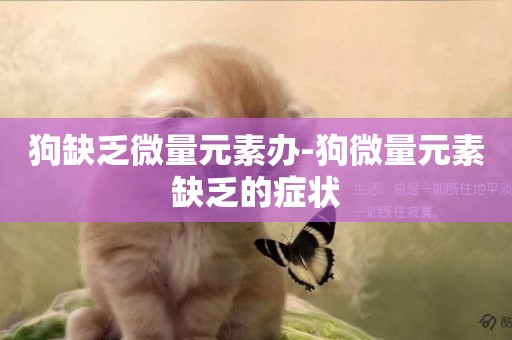 狗缺乏微量元素辦-狗微量元素缺乏的癥狀