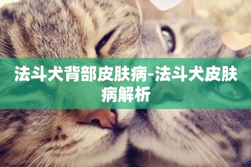 法斗犬背部皮膚病-法斗犬皮膚病解析