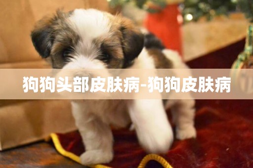 狗狗頭部皮膚病-狗狗皮膚病