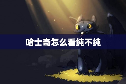 哈士奇怎么看純不純