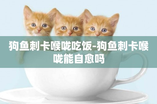 狗魚刺卡喉嚨吃飯-狗魚刺卡喉嚨能自愈嗎