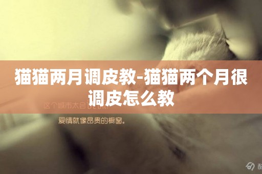 貓貓兩月調皮教-貓貓兩個月很調皮怎么教
