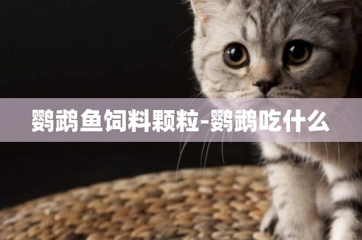 鸚鵡魚飼料顆粒-鸚鵡吃什么