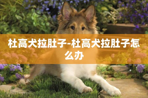 杜高犬拉肚子-杜高犬拉肚子怎么辦