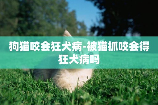 狗貓咬會狂犬病-被貓抓咬會得狂犬病嗎