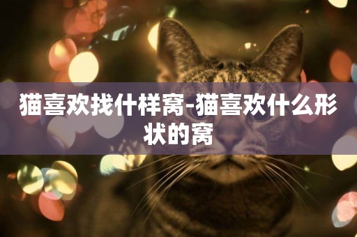 貓喜歡找什樣窩-貓喜歡什么形狀的窩