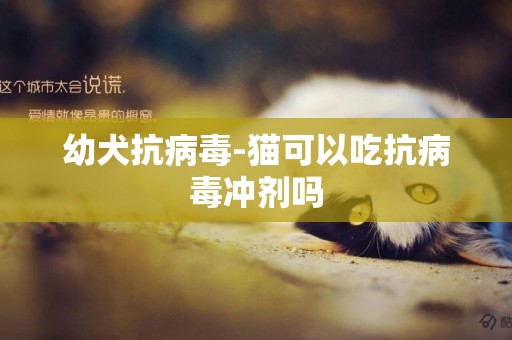 幼犬抗病毒-貓可以吃抗病毒沖劑嗎