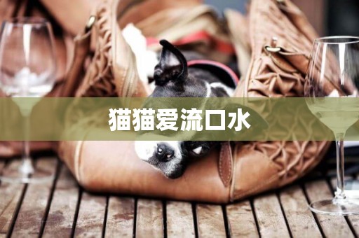 貓貓愛流口水