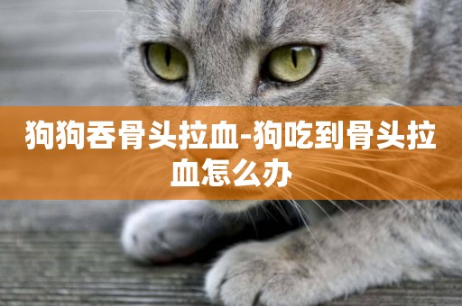 狗狗吞骨頭拉血-狗吃到骨頭拉血怎么辦