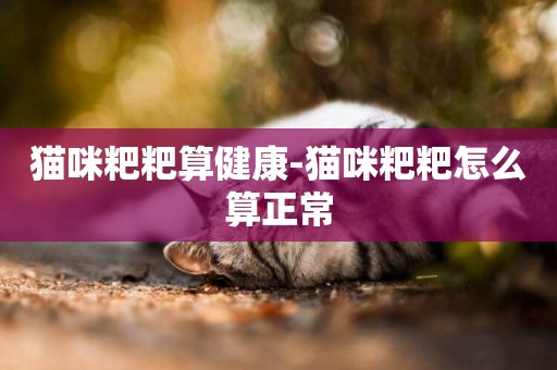 貓咪粑粑算健康-貓咪粑粑怎么算正常