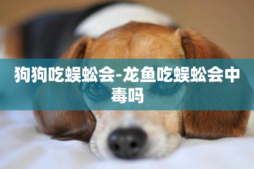 狗狗吃蜈蚣會-龍魚吃蜈蚣會中毒嗎