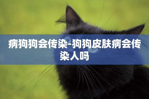病狗狗會傳染-狗狗皮膚病會傳染人嗎