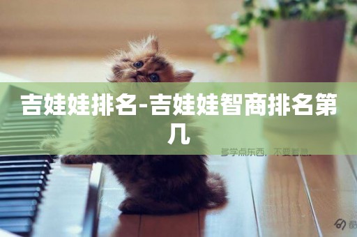 吉娃娃排名-吉娃娃智商排名第幾