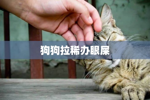 狗狗拉稀辦眼屎