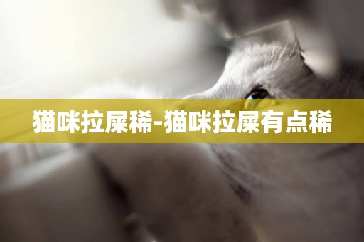 貓咪拉屎稀-貓咪拉屎有點稀