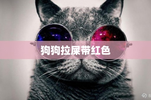 狗狗拉屎帶紅色