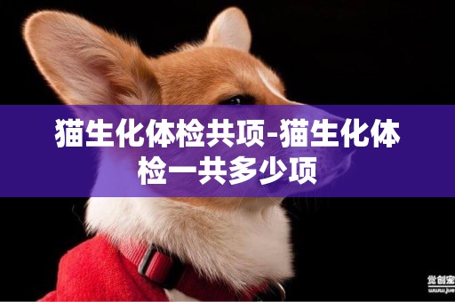 貓生化體檢共項-貓生化體檢一共多少項