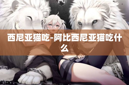 西尼亞貓吃-阿比西尼亞貓吃什么