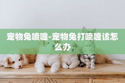 寵物兔噴嚏-寵物兔打噴嚏該怎么辦