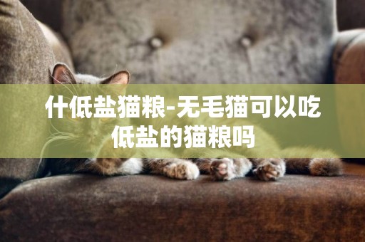 什低鹽貓糧-無毛貓可以吃低鹽的貓糧嗎
