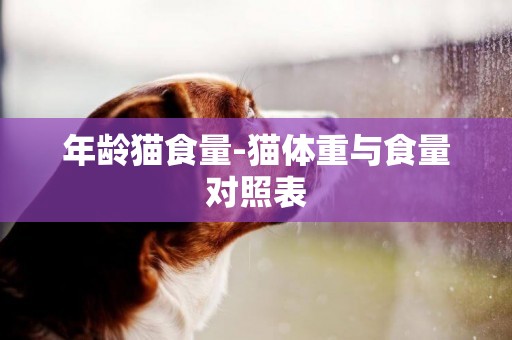 年齡貓食量-貓體重與食量對照表