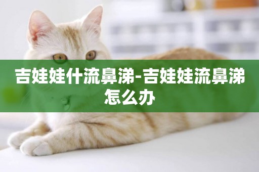 吉娃娃什流鼻涕-吉娃娃流鼻涕怎么辦