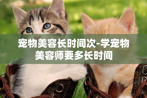 寵物美容長時間次-學寵物美容師要多長時間