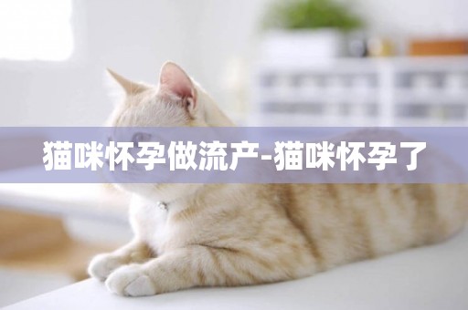 貓咪懷孕做流產-貓咪懷孕了