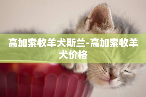 高加索牧羊犬斯蘭-高加索牧羊犬價格