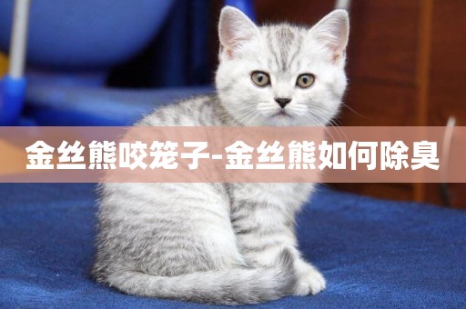 金絲熊咬籠子-金絲熊如何除臭