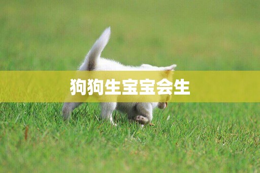 狗狗生寶寶會生