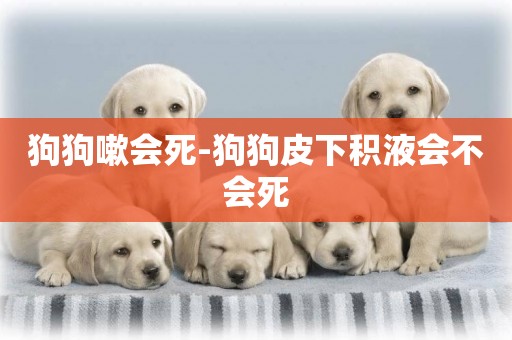 狗狗嗽會死-狗狗皮下積液會不會死