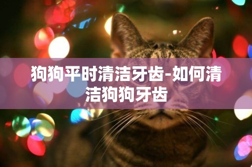 狗狗平時清潔牙齒-如何清潔狗狗牙齒