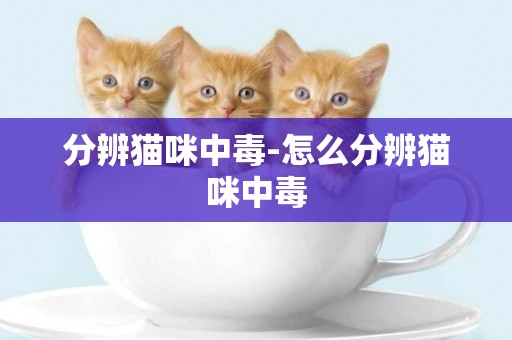分辨貓咪中毒-怎么分辨貓咪中毒