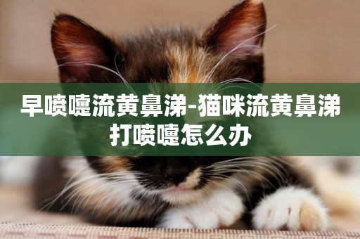 早噴嚏流黃鼻涕-貓咪流黃鼻涕打噴嚏怎么辦