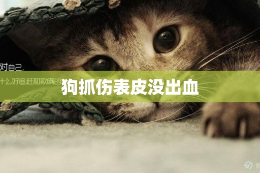 狗抓傷表皮沒出血