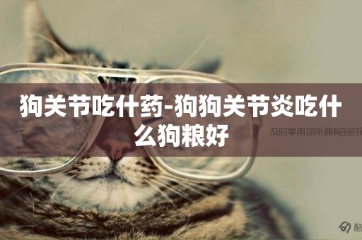 狗關節吃什藥-狗狗關節炎吃什么狗糧好