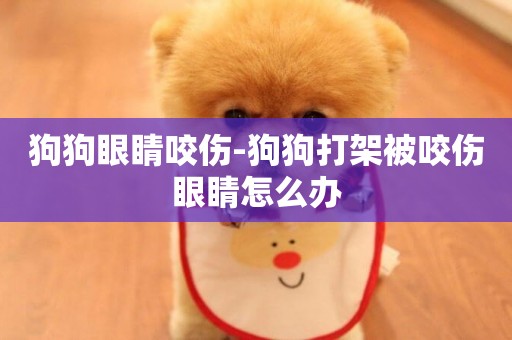 狗狗眼睛咬傷-狗狗打架被咬傷眼睛怎么辦