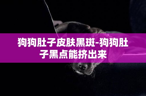 狗狗肚子皮膚黑斑-狗狗肚子黑點能擠出來