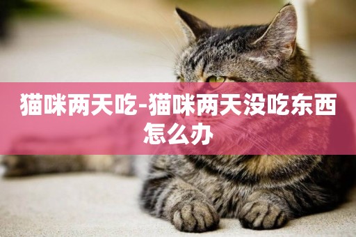 貓咪兩天吃-貓咪兩天沒吃東西怎么辦
