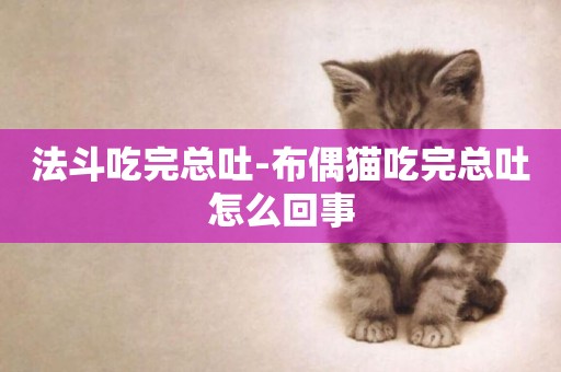 法斗吃完總吐-布偶貓吃完總吐怎么回事