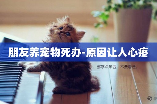 朋友養寵物死辦-原因讓人心疼