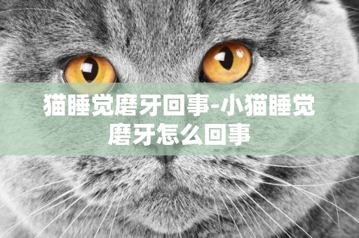 貓睡覺磨牙回事-小貓睡覺磨牙怎么回事