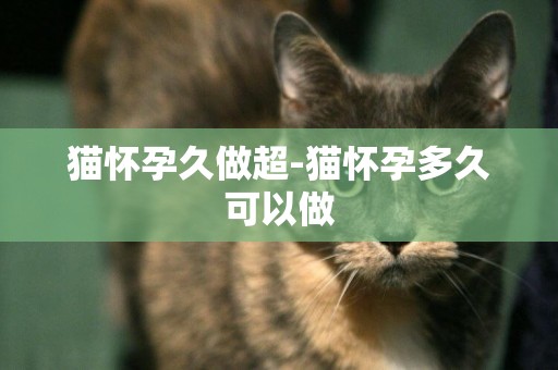 貓懷孕久做超-貓懷孕多久可以做